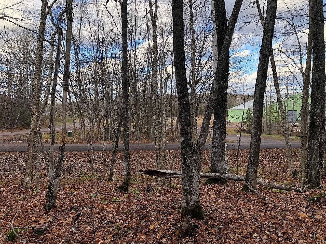 Outlot 3 Skye Dr Upson, WI 54565 - Thumbnail 5