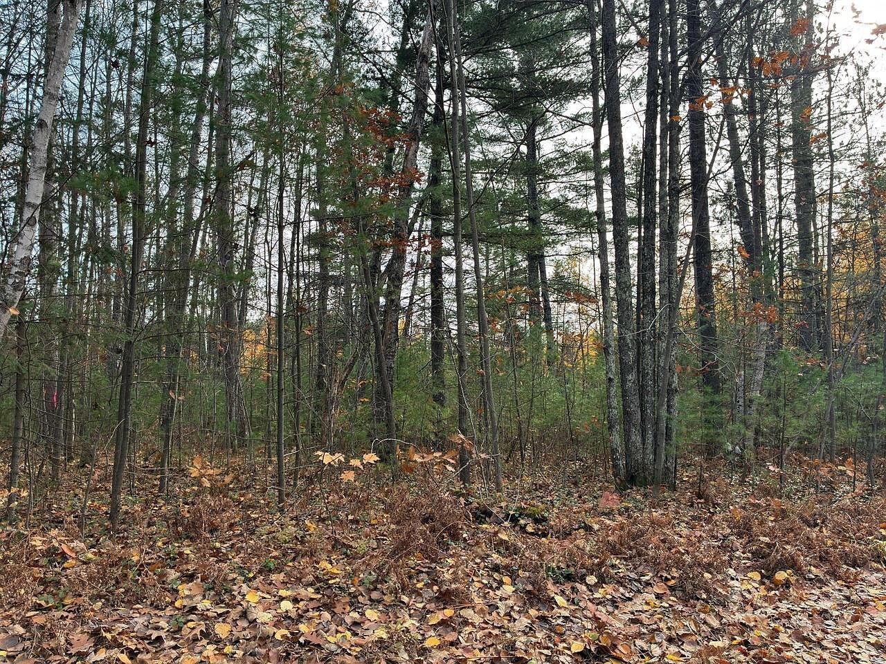 Moss Lake Dr Lac Du Flambeau, WI 54538 - Thumbnail 5