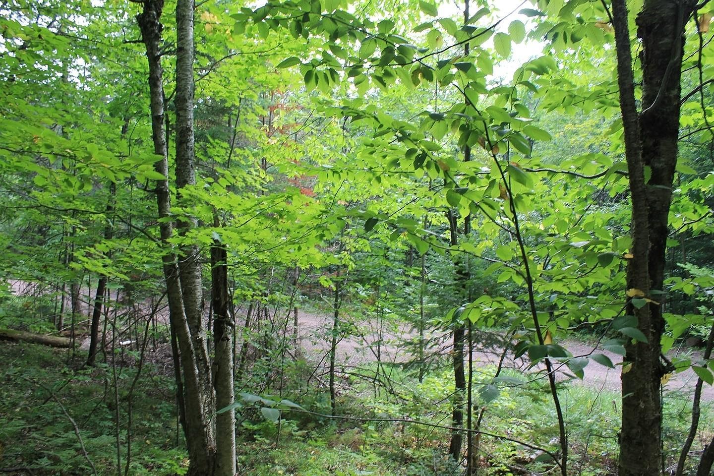 N Alpine Dr Lot 15 Upson, WI 54565 - Thumbnail 5