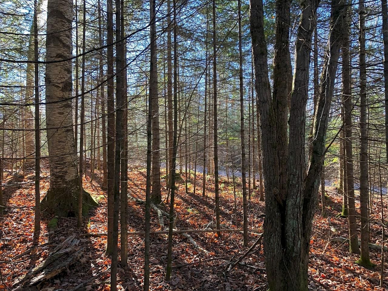 Off Boxberger Dr Lot 4 Presque Isle, WI 54557 - Thumbnail 5
