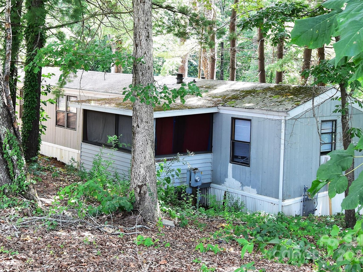 295 Asbury Rd Candler, NC 28715 - Thumbnail 4