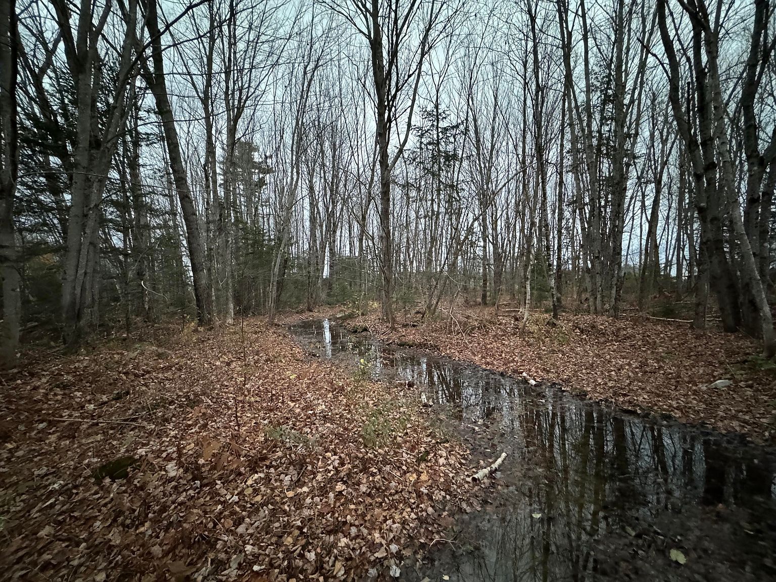 8 Caron Dr Howland, ME 04448  | Land/Lot