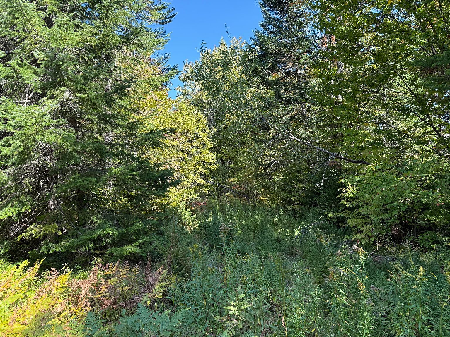 M3-L392 Silver Ridge Rd Kingman, ME 04451 - Thumbnail 5