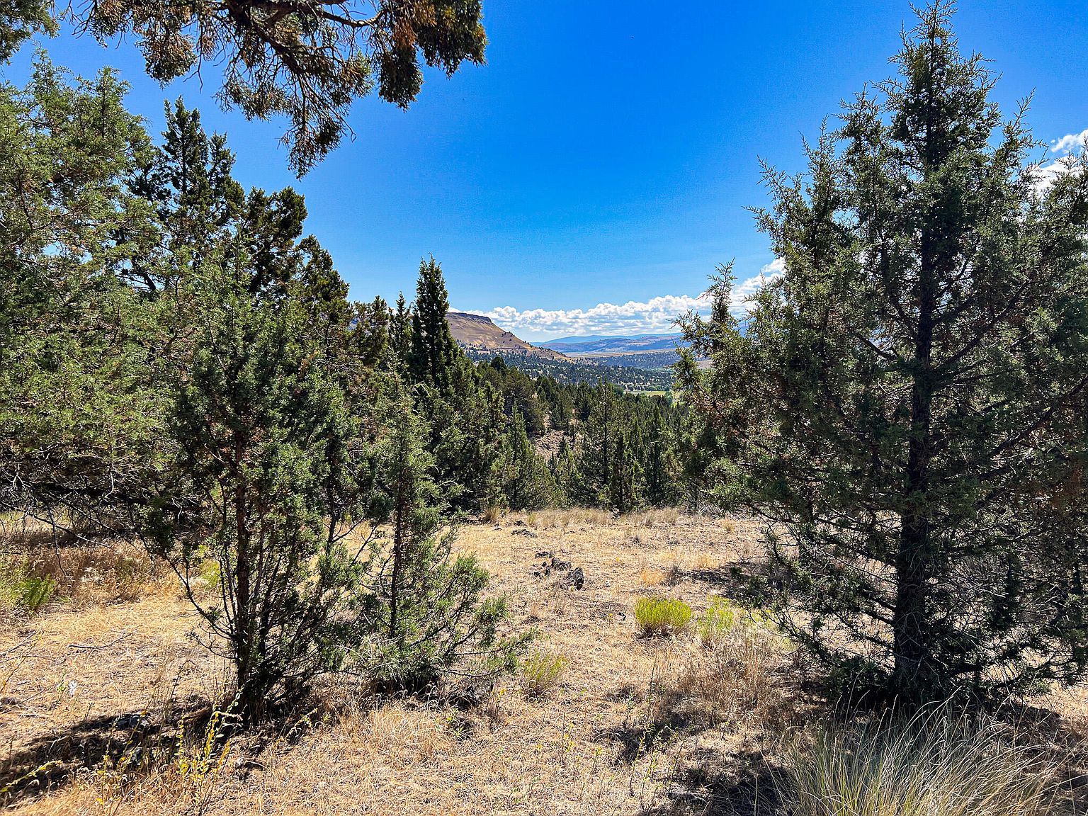 219 Valley View Dr John Day, OR 97845 - Thumbnail 5