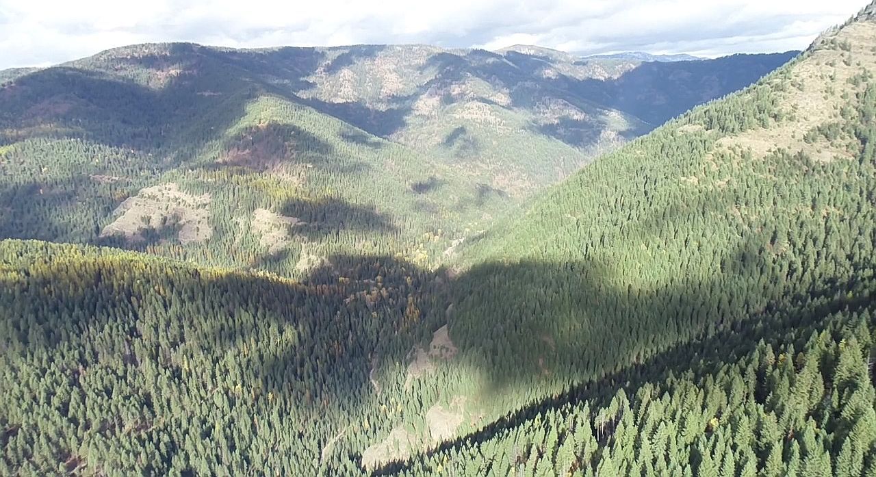 Nhn Pilgrim Creek Rd Noxon, MT 59853 - Thumbnail 5