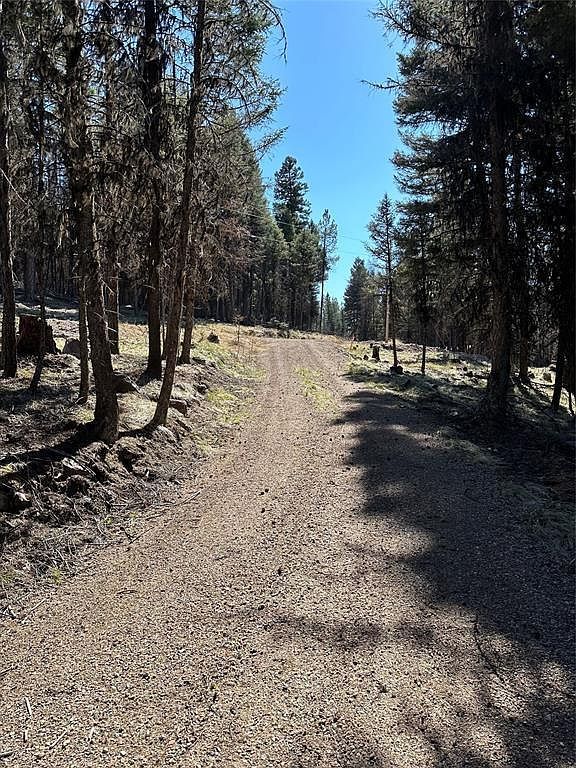 1295 Stage Coach Dr Seeley Lake, MT 59868 - Thumbnail 5