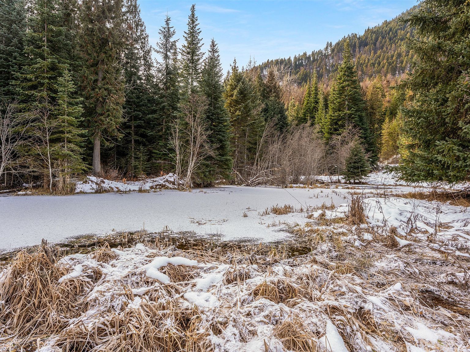 103 Little Joe Rd Saint Regis, MT 59866 - Thumbnail 5