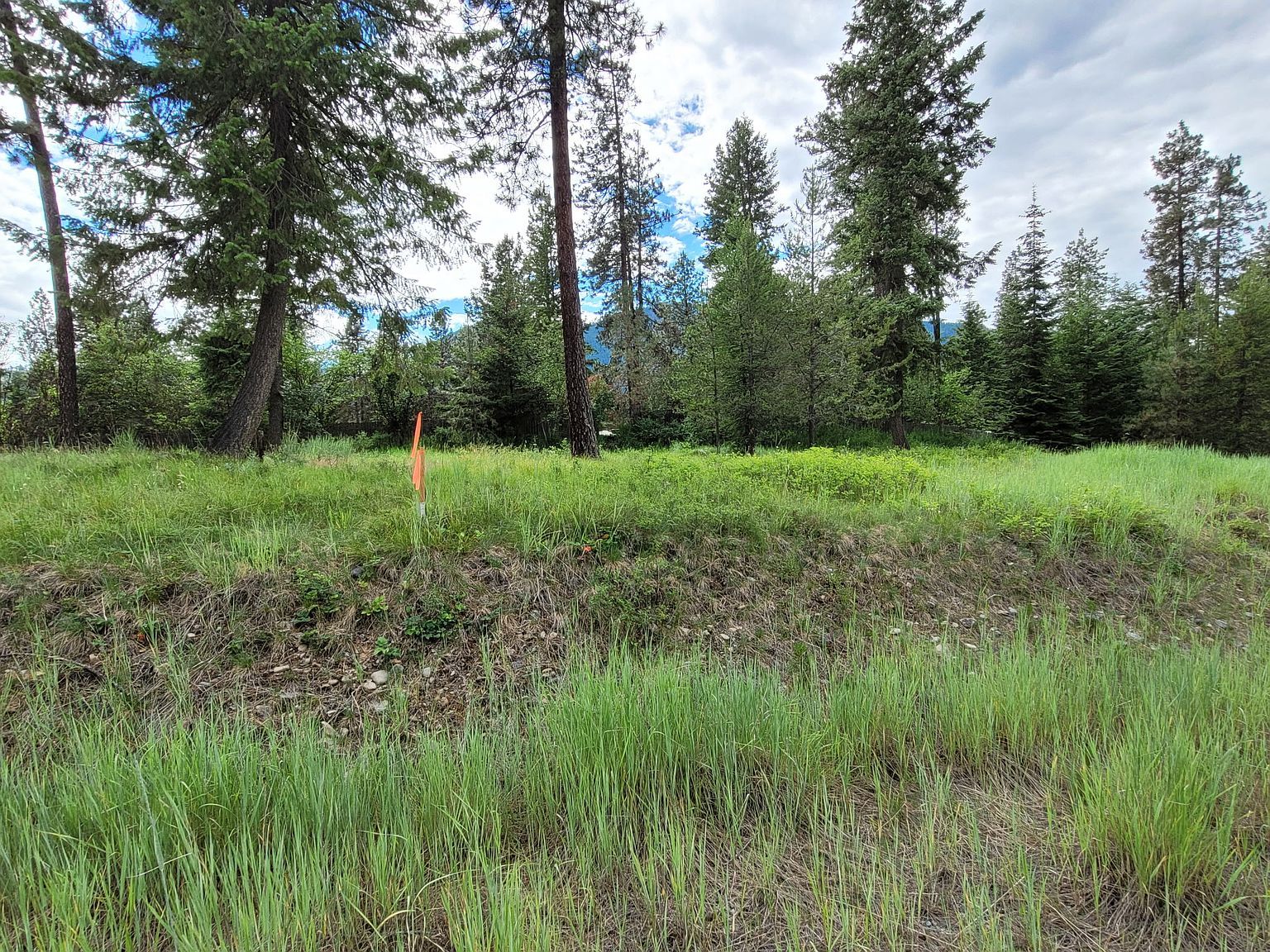 Nhn Mossy Rock Ct Thompson Falls, MT 59873 - Thumbnail 5