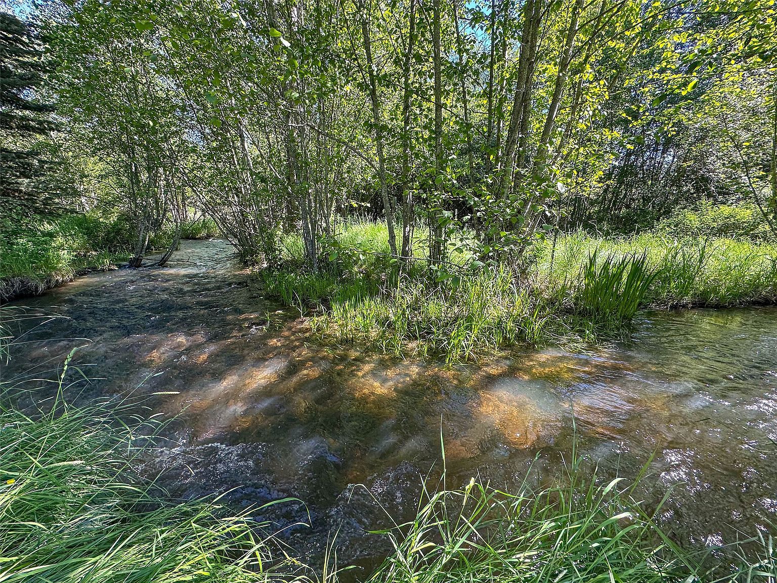 34 Baldy View Ln Plains, MT 59859 - Thumbnail 5