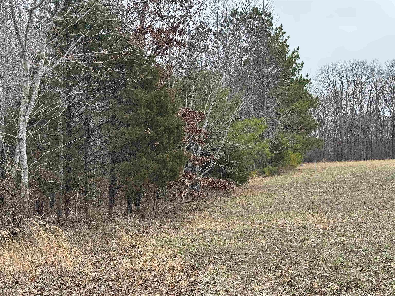 1022 County Road 545 Rogersville, AL 35652 - Thumbnail 5