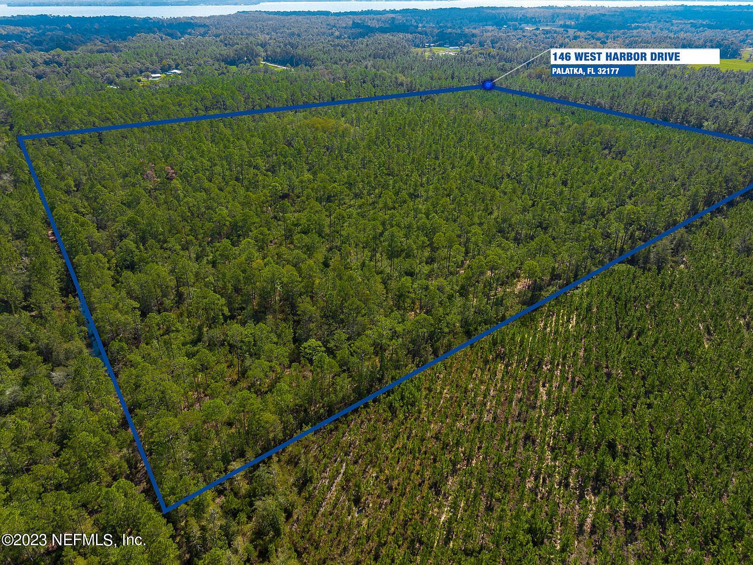 146 W Harbor Dr Palatka, FL 32177 - Thumbnail 5