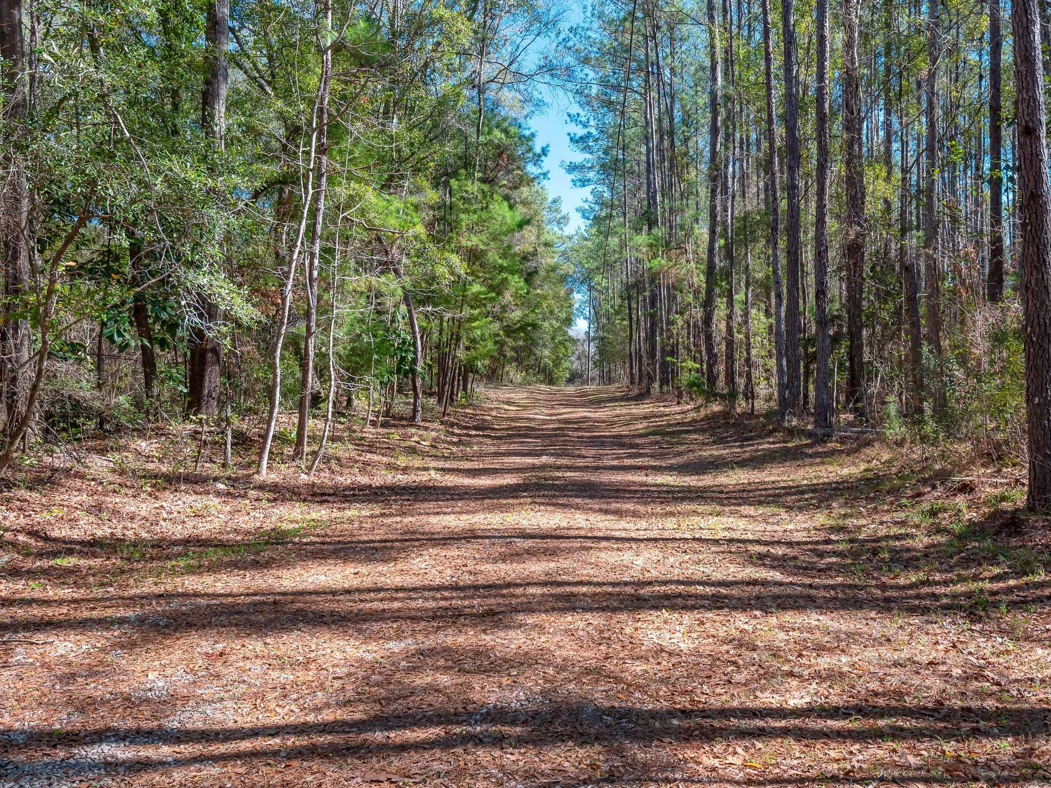 11274 Old Federal Road, Quincy, FL, USA, 32351 - Thumbnail 3