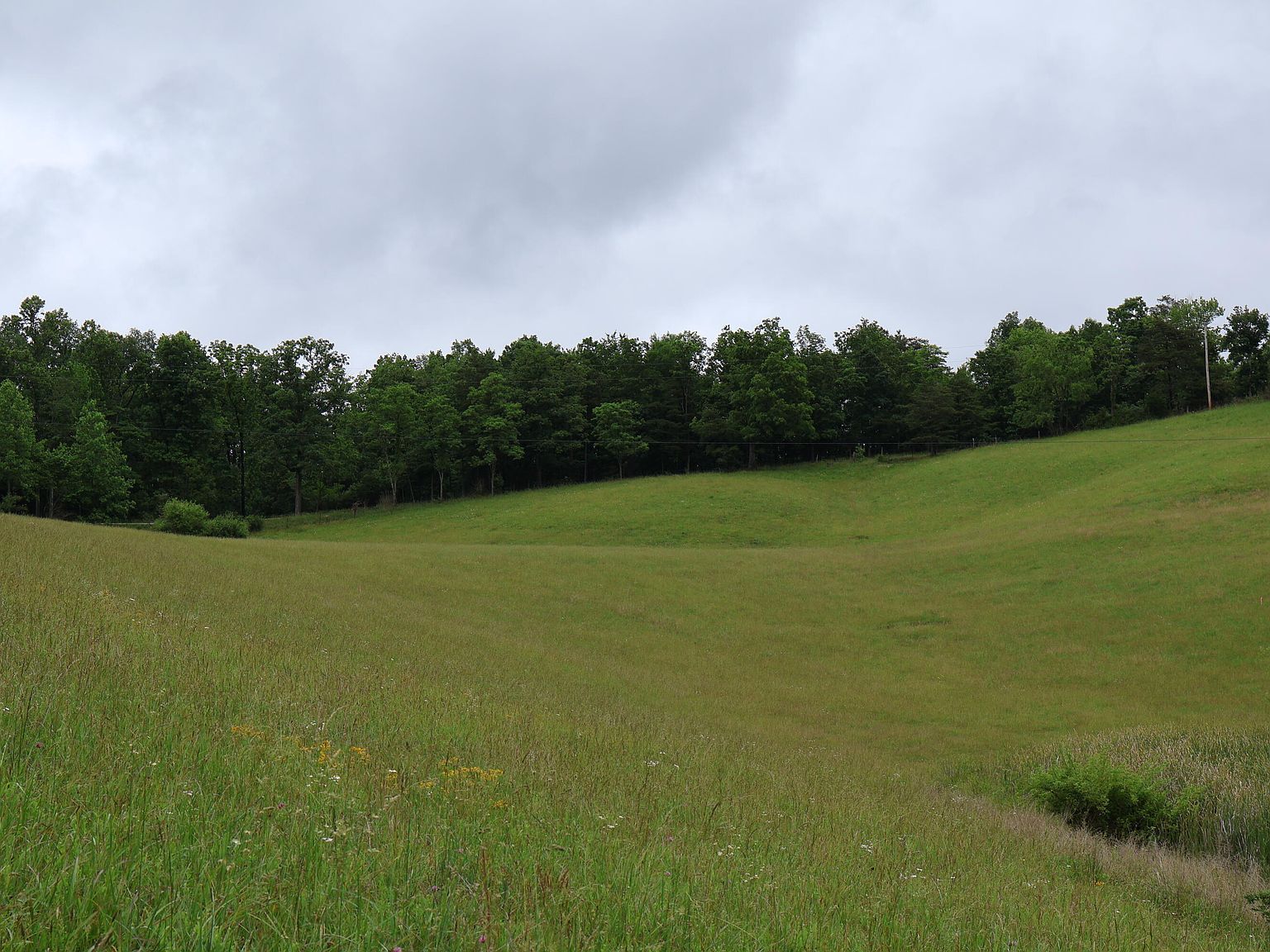 4135 Big Andy Rdg Tract 1 Rogers, KY 41365 - Thumbnail 5
