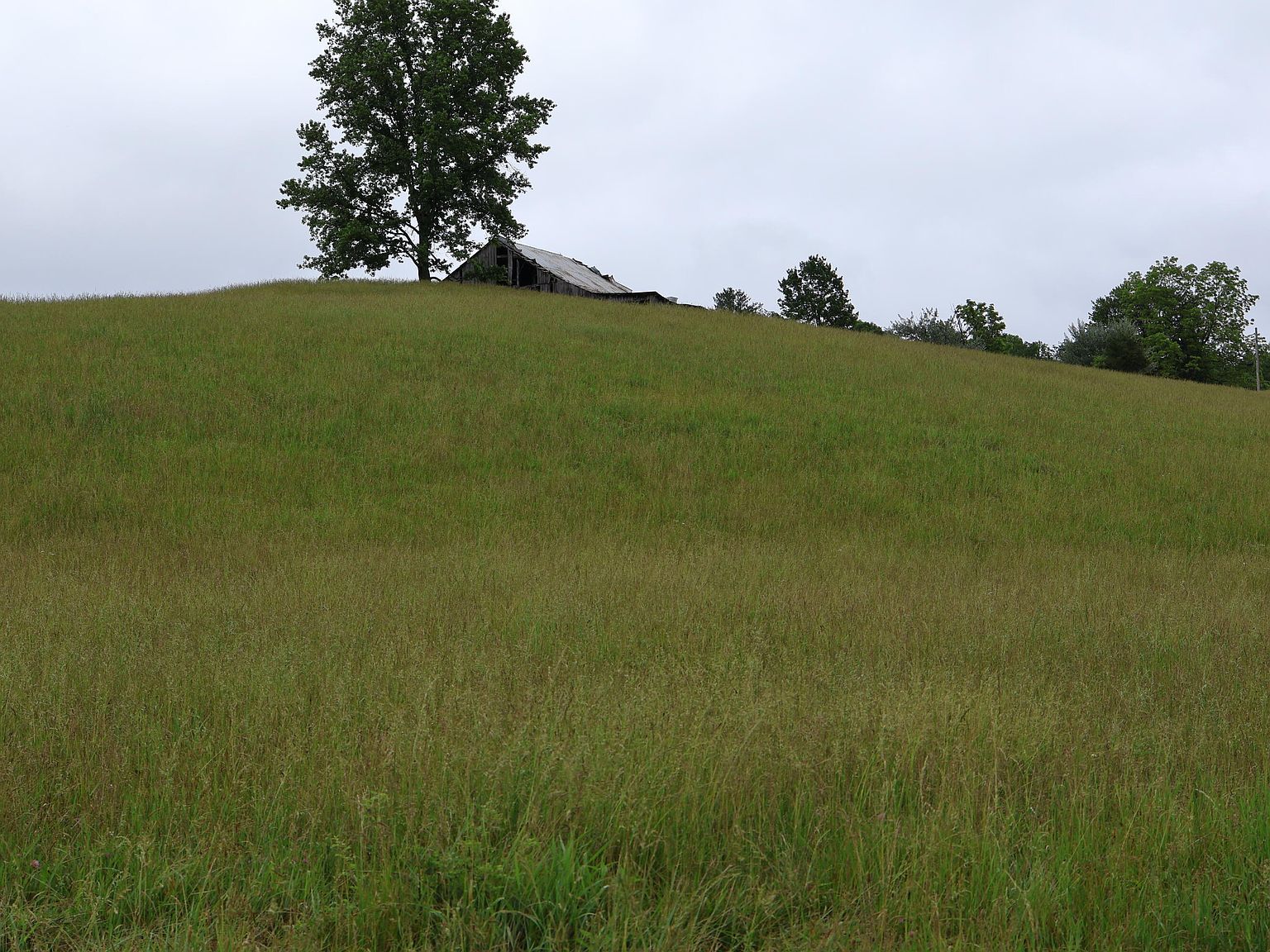 4135 Big Andy Rdg Tract 3 Rogers, KY 41365 - Thumbnail 5
