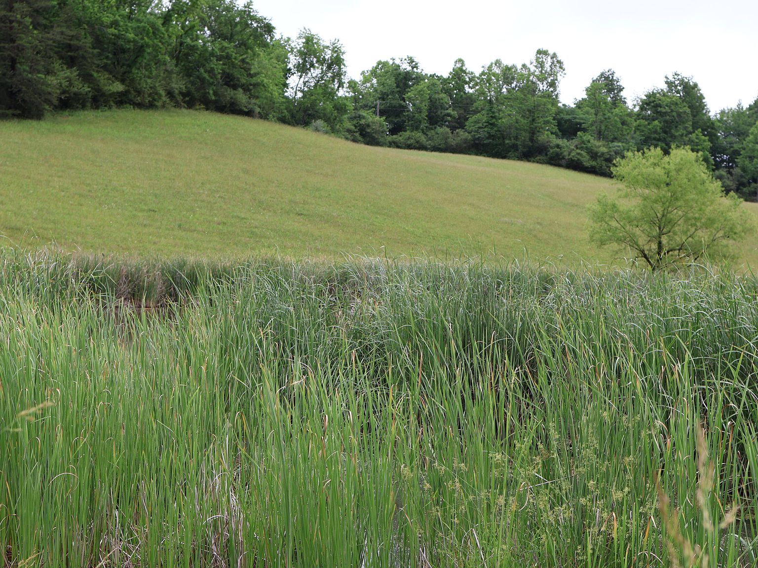 4135 Big Andy Rdg Tract 2 Rogers, KY 41365 - Thumbnail 5