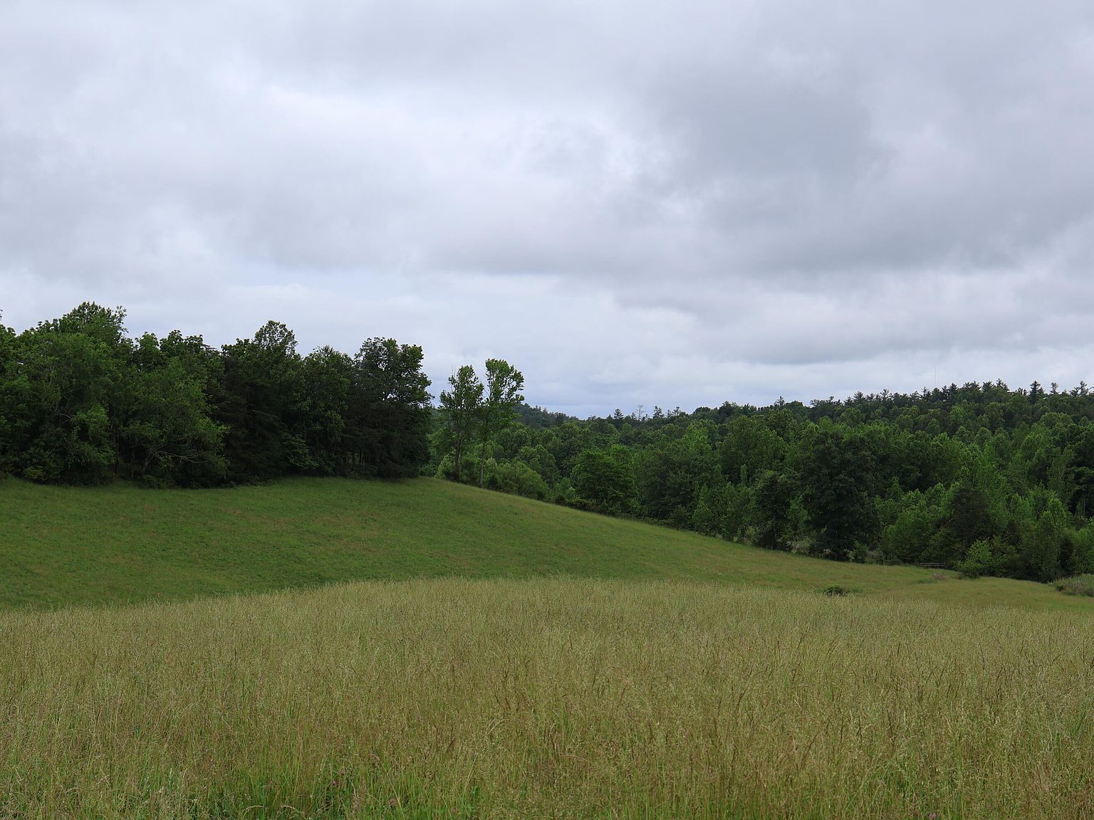 4135 Big Andy Rdg Tract 5 Rogers, KY 41365 - Thumbnail 5
