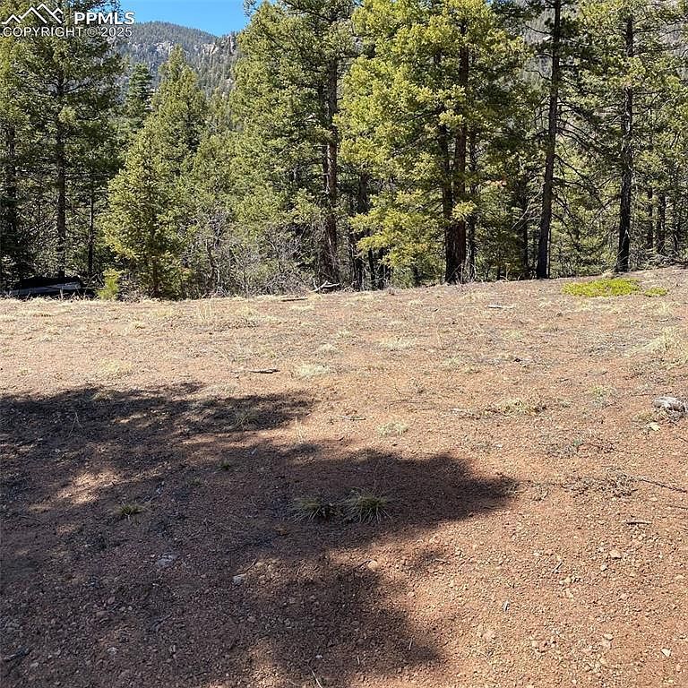 Little Turkey Creek Rd Colorado Springs, CO 80926 - Thumbnail 5