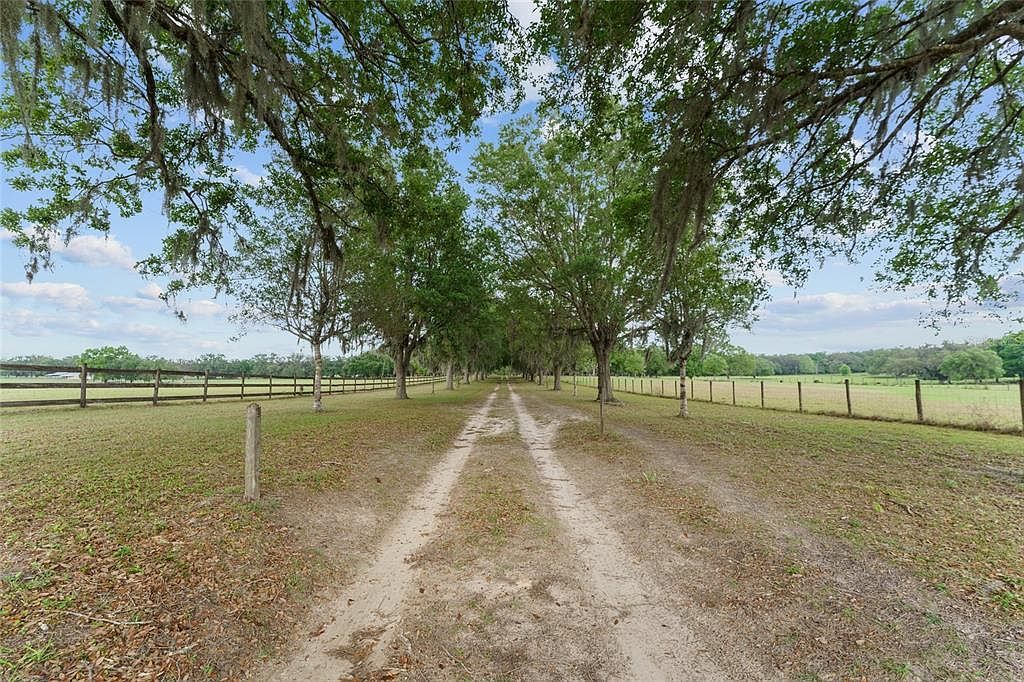 3149 SW 200th Ave Dunnellon, FL 34431 - Thumbnail 5