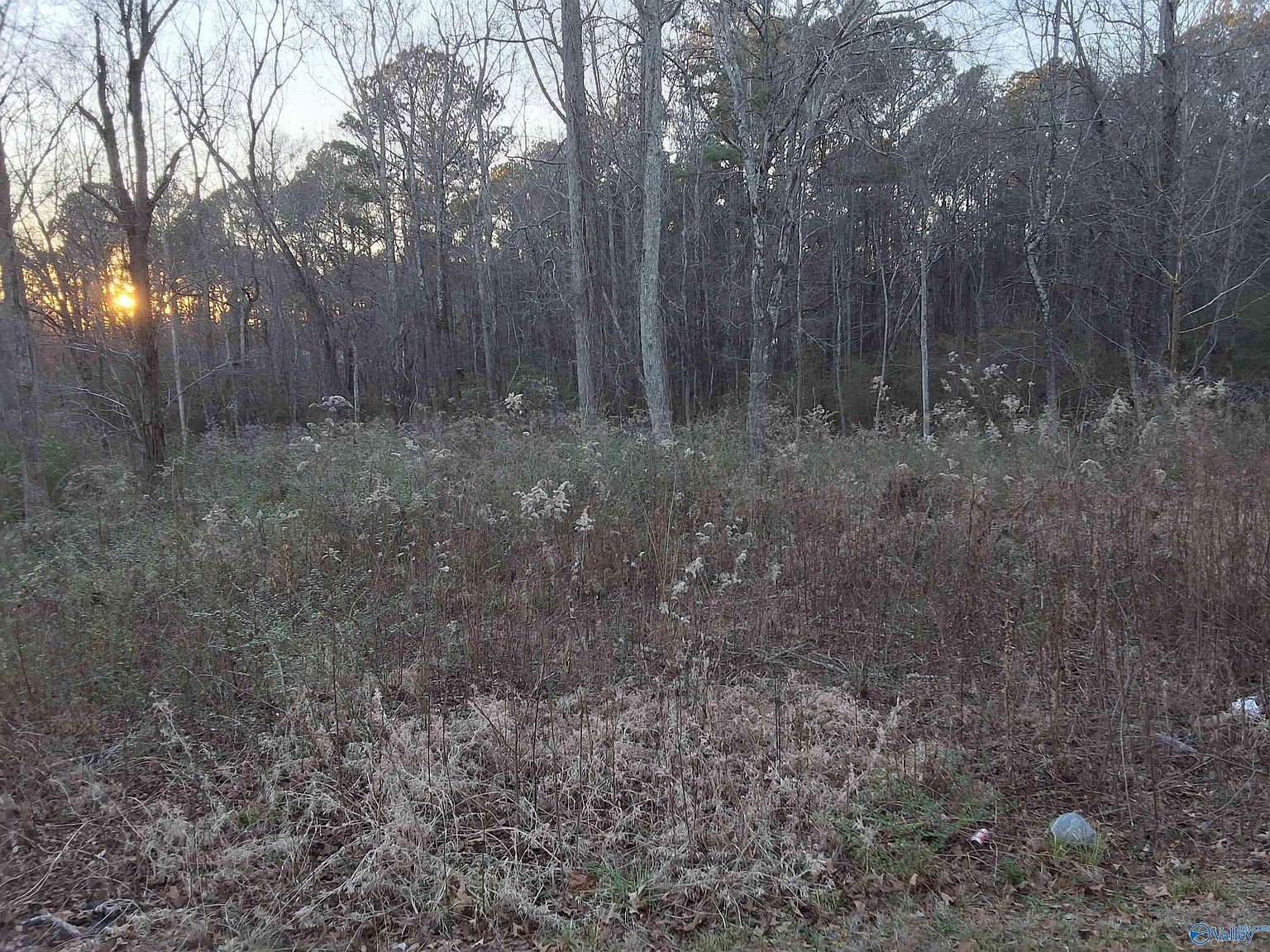 Euclid Rd Gadsden, AL 35903 - Thumbnail 5