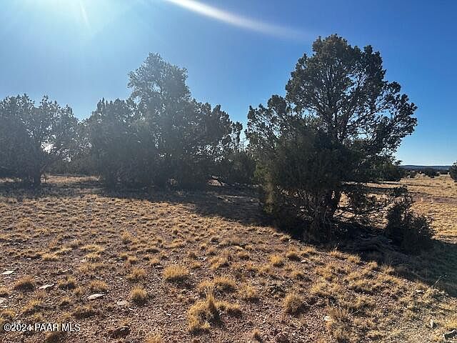 234N W Brothers Rd Seligman, AZ 86337 - Thumbnail 5