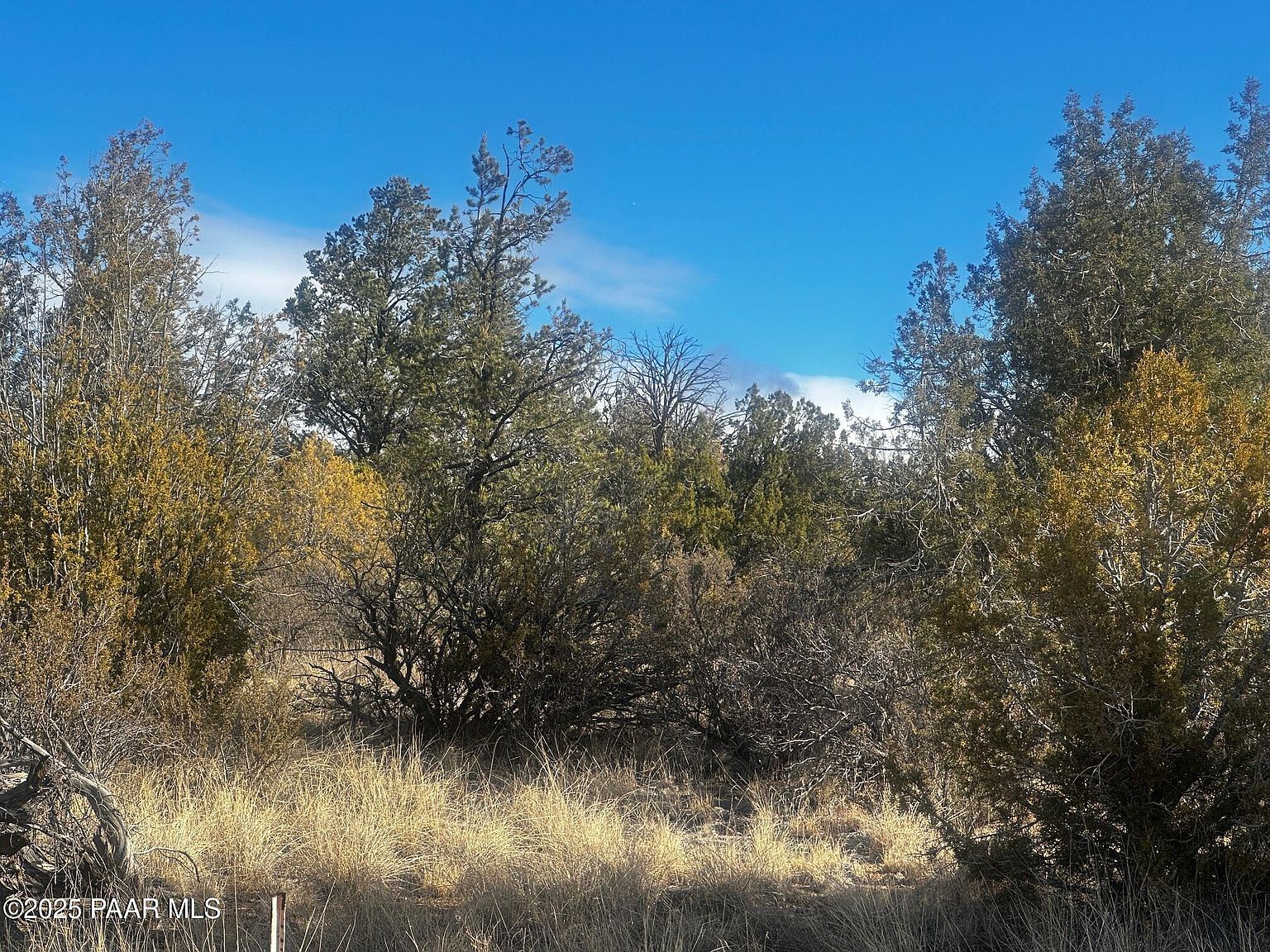 32292 W Ancho Rd Seligman, AZ 86337 - Thumbnail 5