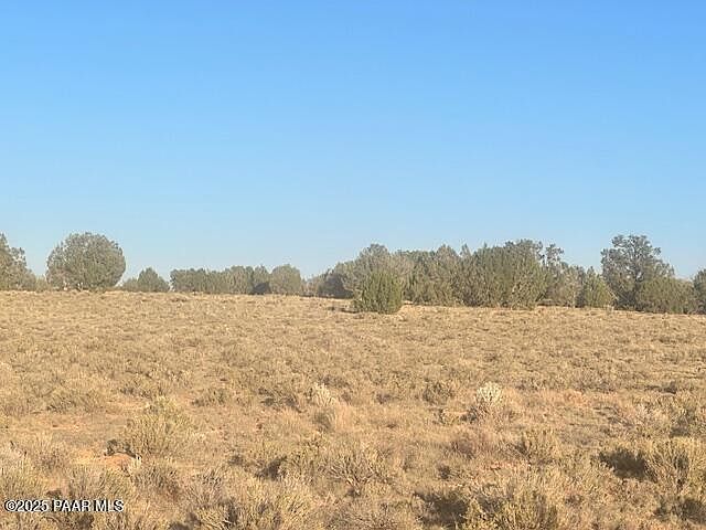 349N W Rocky Top Rd Seligman, AZ 86337 - Thumbnail 5