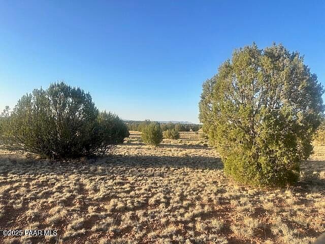 349N E Rocky Top Rd Seligman, AZ 86337 - Thumbnail 5