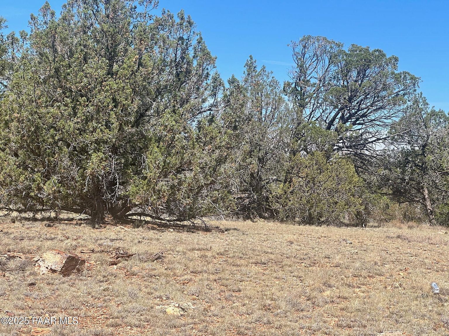 32970 W Forest Ln Seligman, AZ 86337 - Thumbnail 5