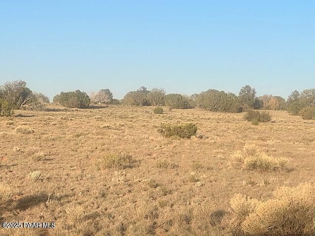 349S E Rocky Top Rd Seligman, AZ 86337 - Thumbnail 5