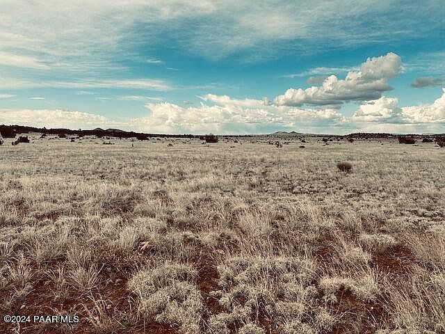 424N W Deliverance Rd Seligman, AZ 86337 - Thumbnail 5