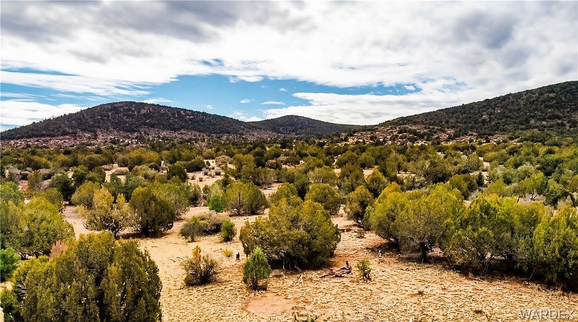 320 Acres Cross Mountain Trout Crk Seligman, AZ 86337 - Thumbnail 5