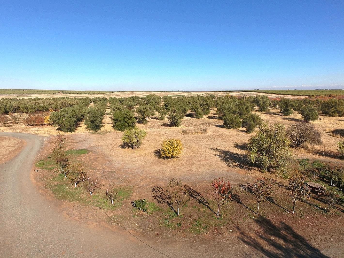 27643 County Road 88 Winters, CA 95694 - Thumbnail 5
