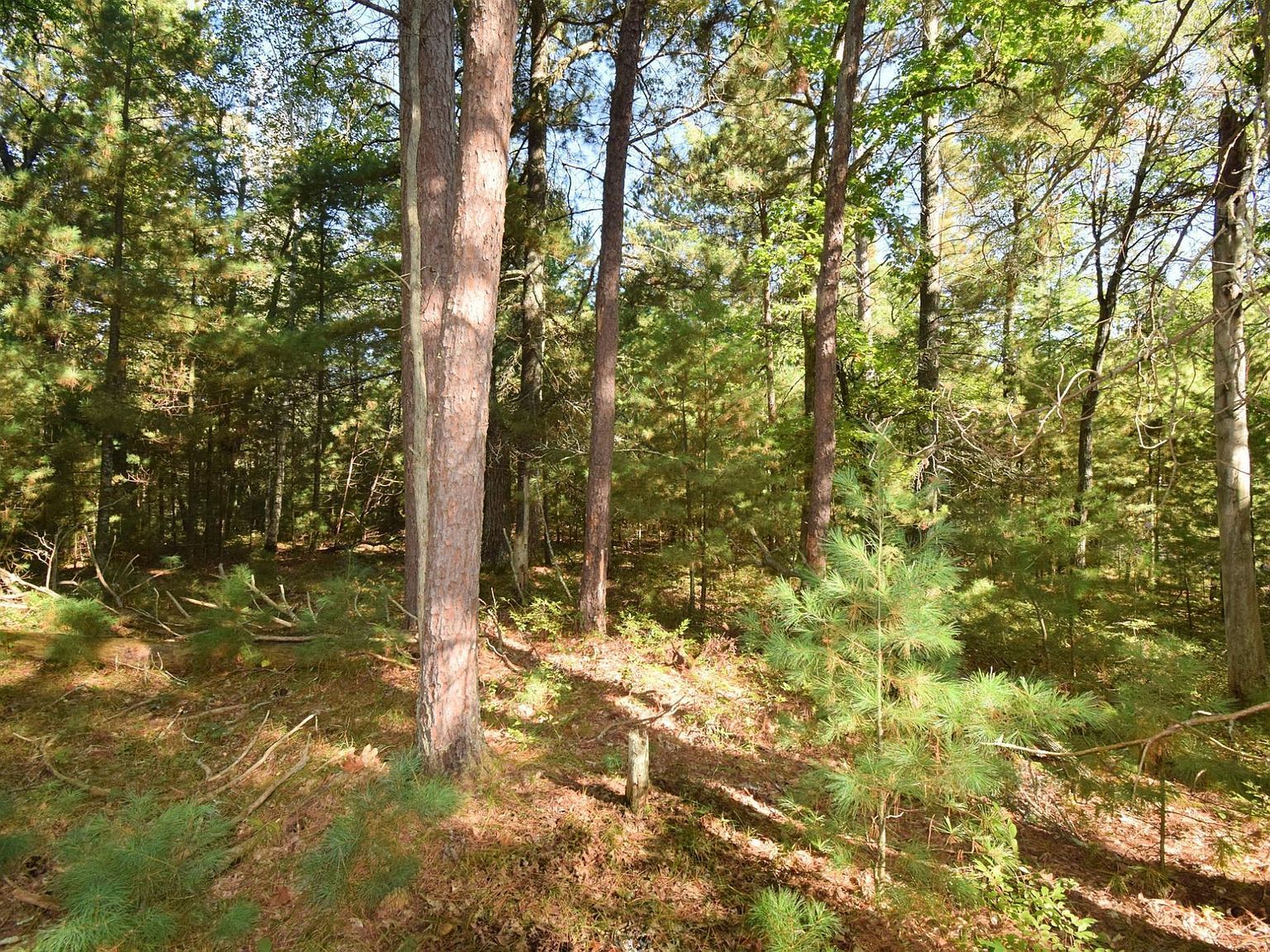 Redwing Trailway Danbury, WI 54830 - Thumbnail 5