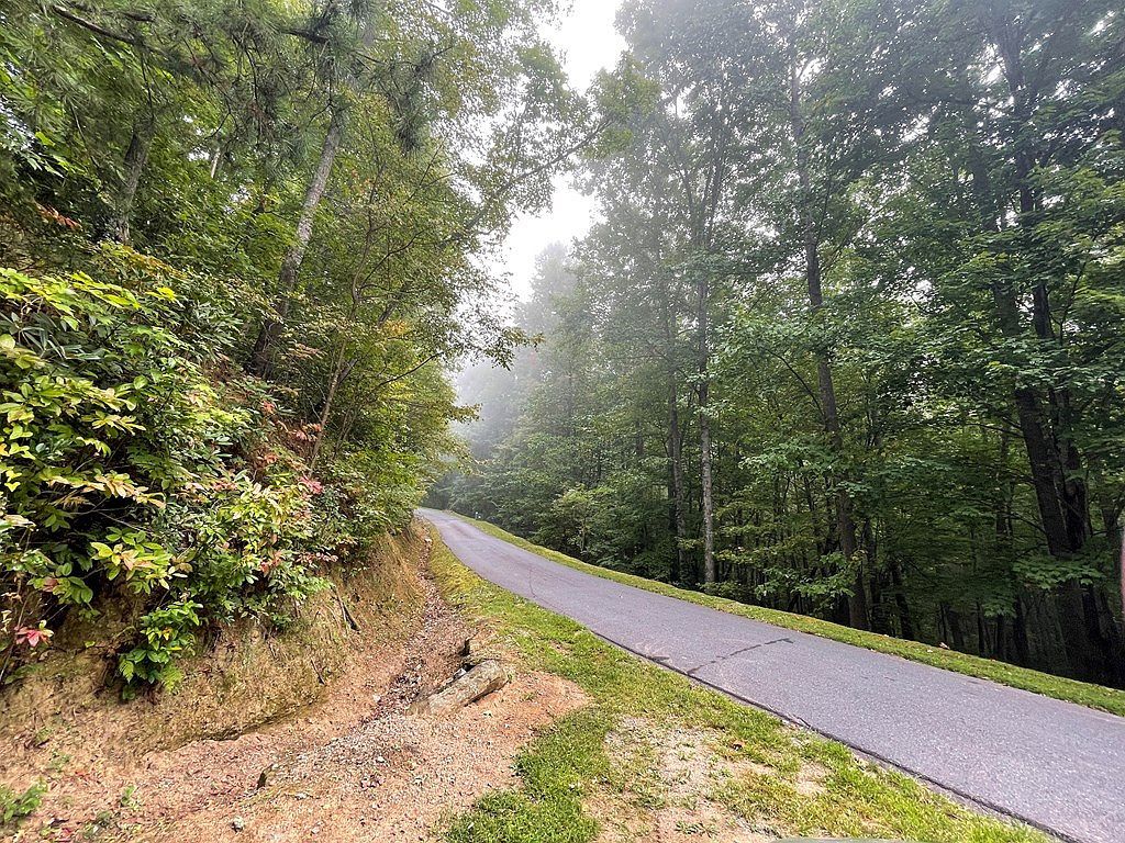 LOT 53 Still Branch Rd Whittier, NC 28789 | Land/Lot