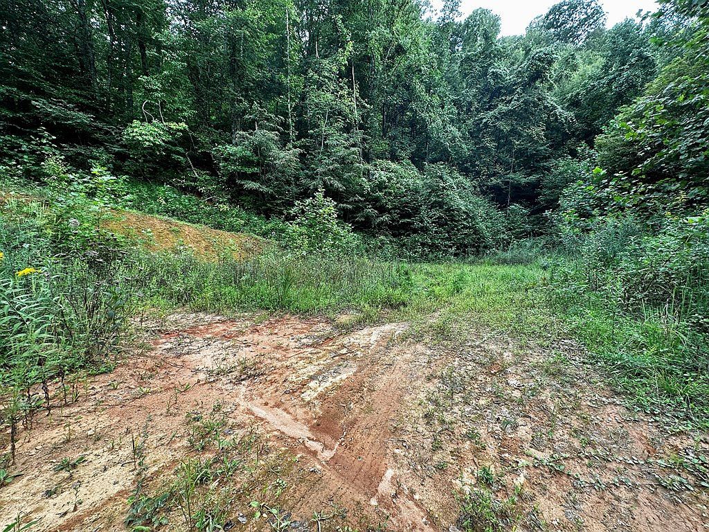 Varsity Dr Sylva, NC 28779 - Thumbnail 5