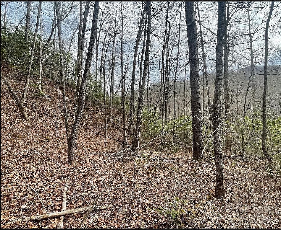 Big Oak Springs Rd Sylva, NC 28779 - Thumbnail 5