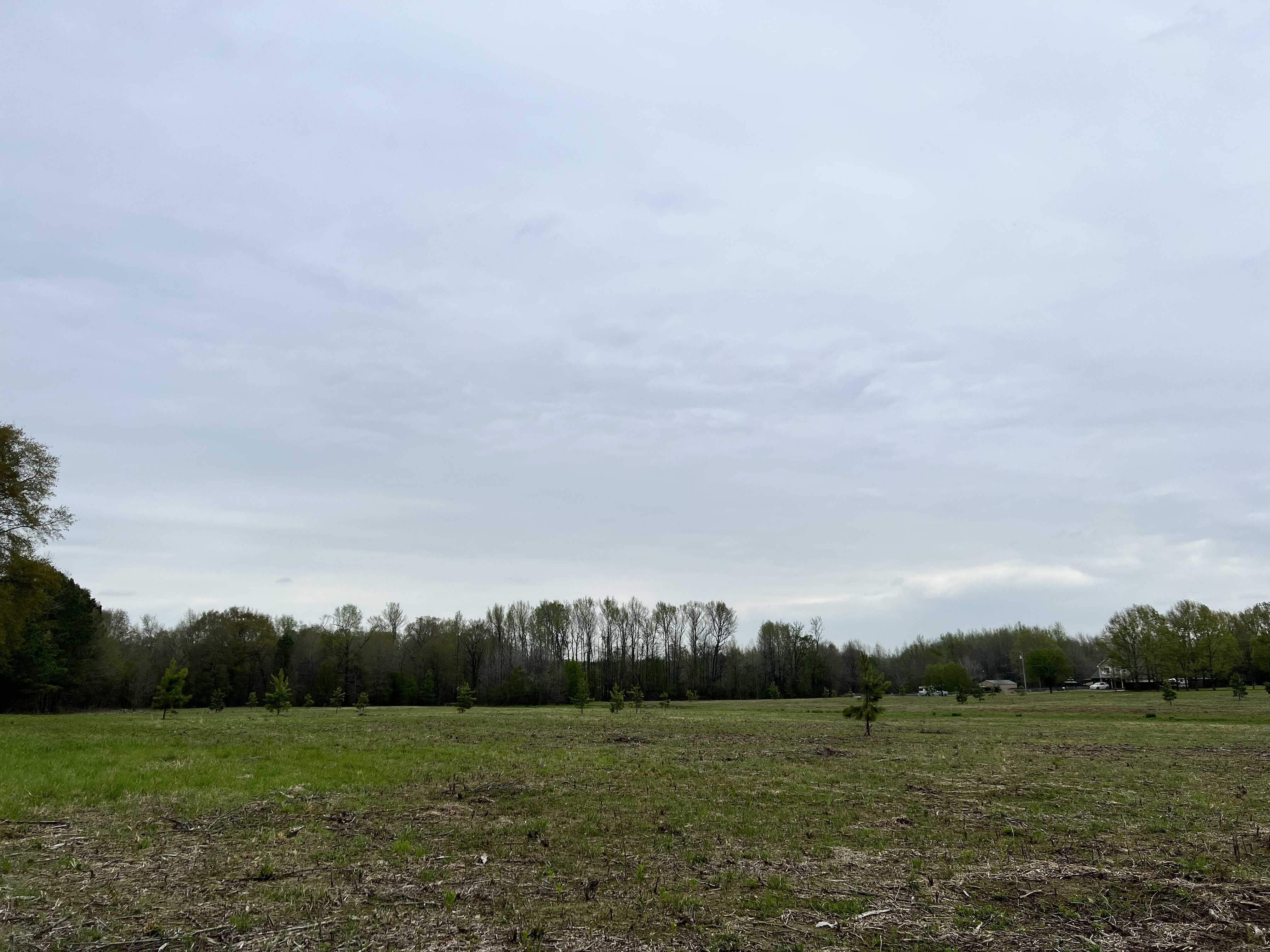 000 Cocklebur Road, Ward, AR, 72176 - Thumbnail 3