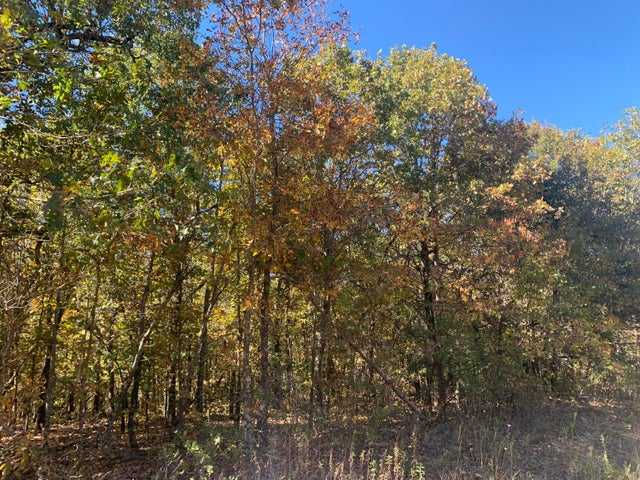 000 Nubbin Ridge Road, Mammoth Spring, AR, 72554 - Thumbnail 5