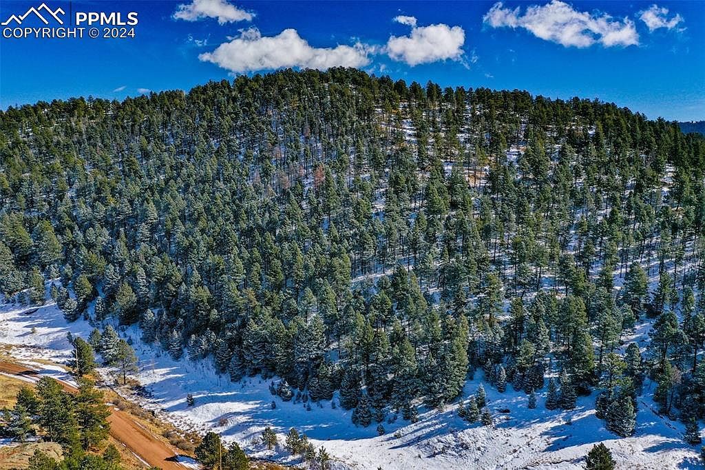 278 Penrose Cir Florissant, CO 80816 - Thumbnail 5