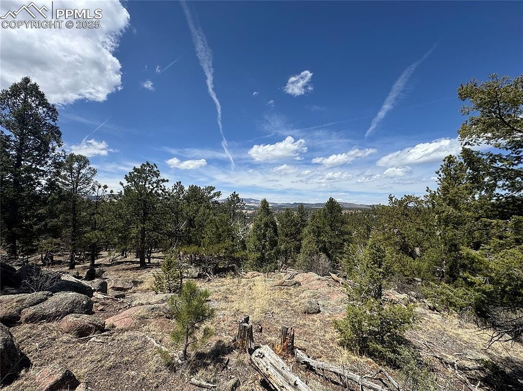 487 Pike View Ln Florissant, CO 80816 - Thumbnail 5