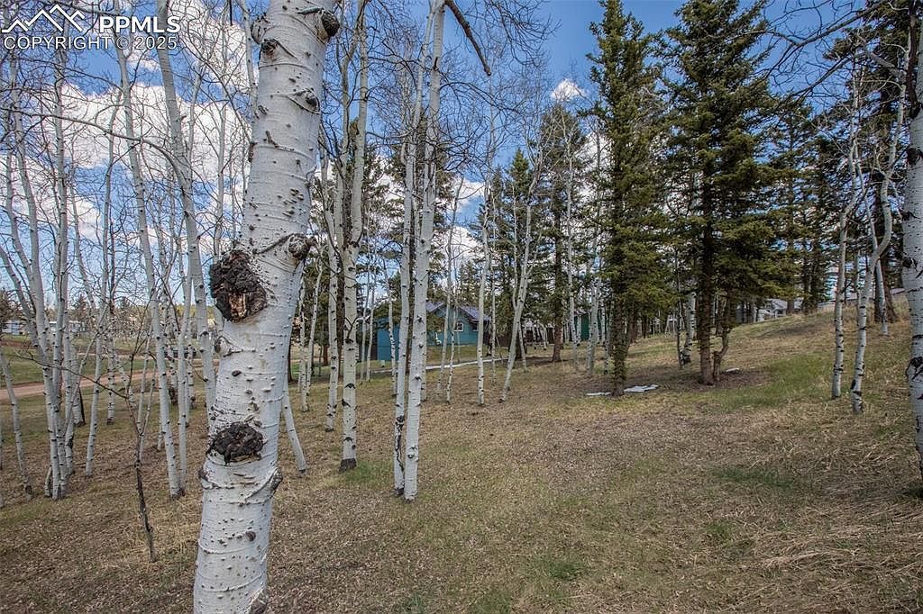 571 Will Scarlet Dr Divide, CO 80814 - Thumbnail 5