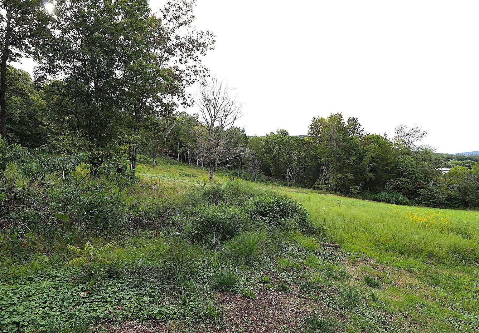 2099 Highway Jj Ironton, MO 63650 - Thumbnail 5