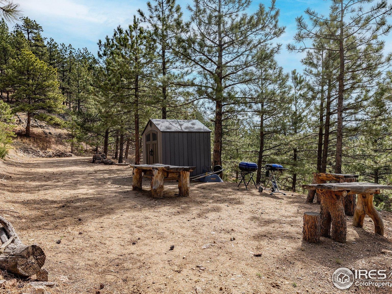 9316 Tawny Lynx Road Loveland, CO 80538 - Thumbnail 5