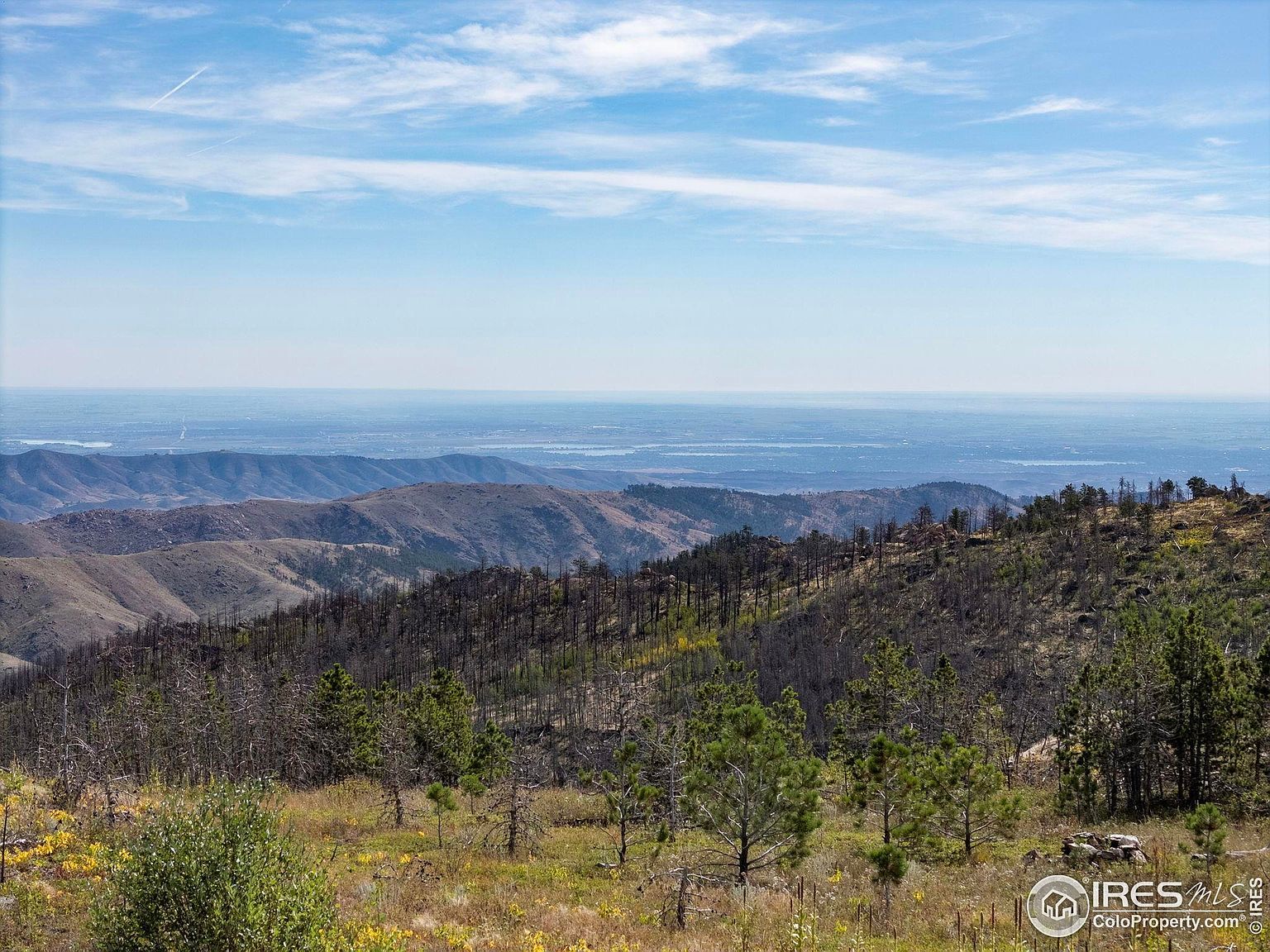 805 Meadows Dr Drake, CO 80515 - Thumbnail 5