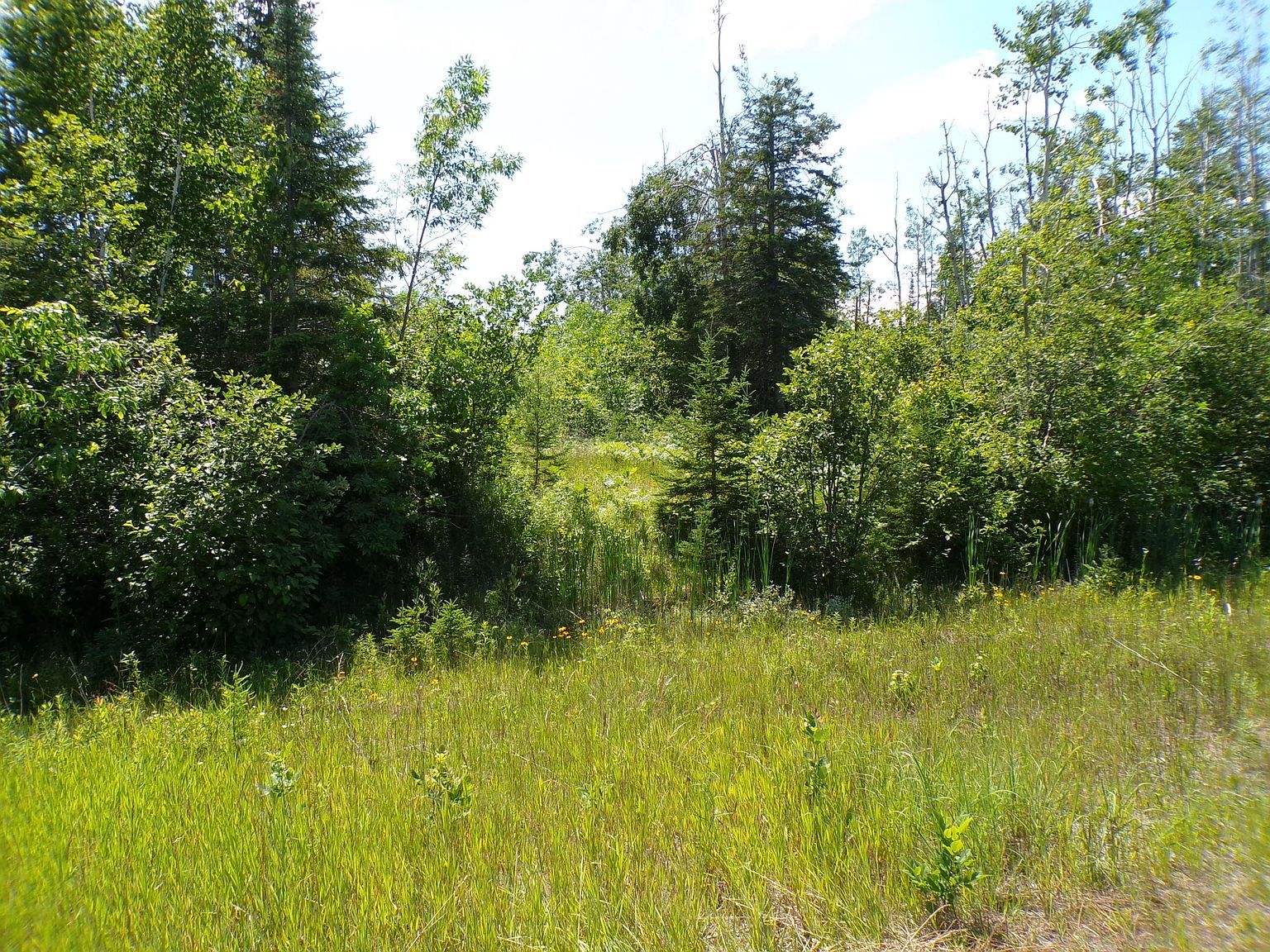 Us Highway 23 N Millersburg, MI 49759 - Thumbnail 5