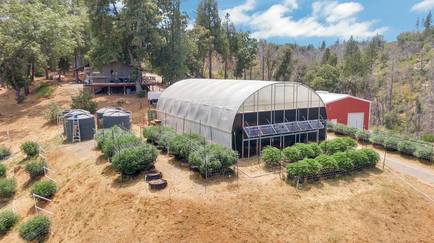 6640 Railroad Flat Rd Mountain Ranch, CA 95246 - Thumbnail 5