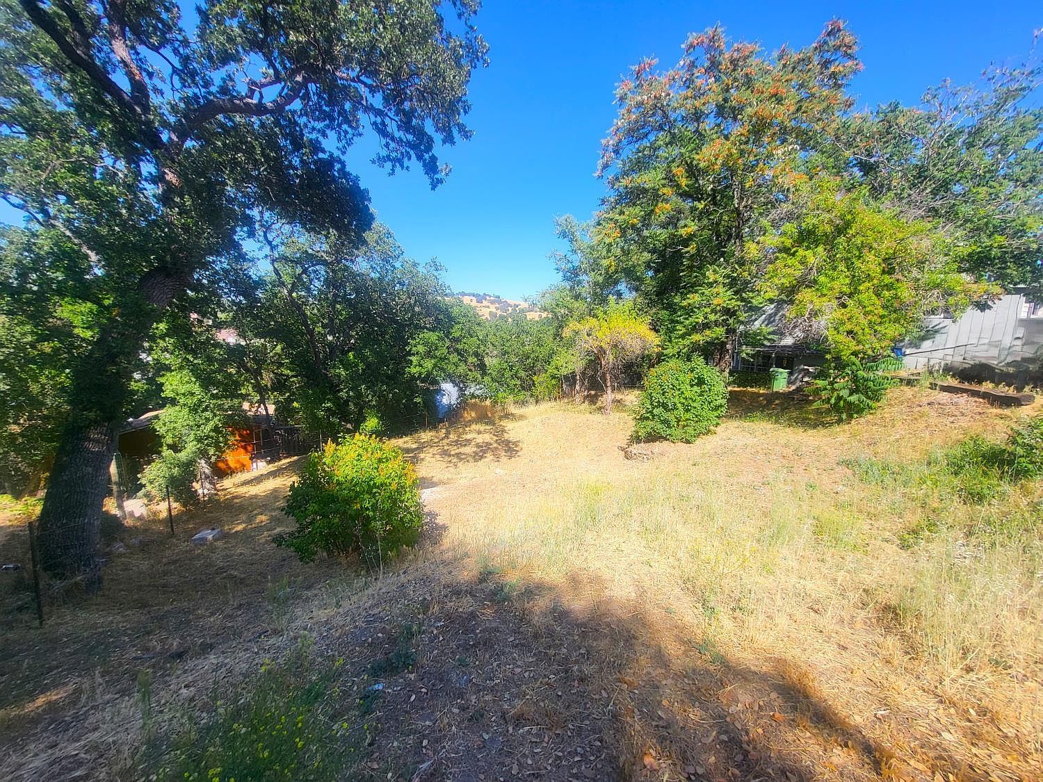 1350 Love St Angels Camp, CA 95222  | Land/Lot