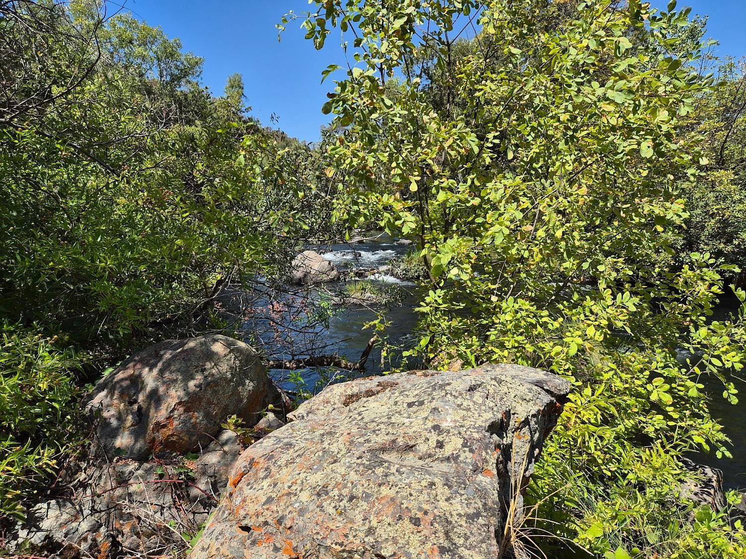 6647 Cane Ln Valley Springs, CA 95252 - Thumbnail 5