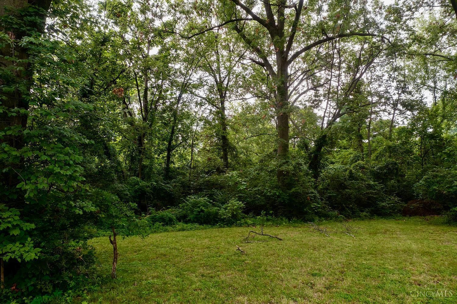 1 Buckwheat Rd Milford, OH 45150 - Thumbnail 5