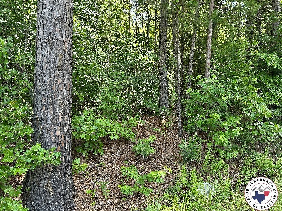 County Road 4342 Bivins, TX 75555 - Thumbnail 5